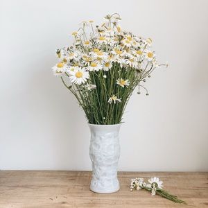 Meet your Posher, Valeriya